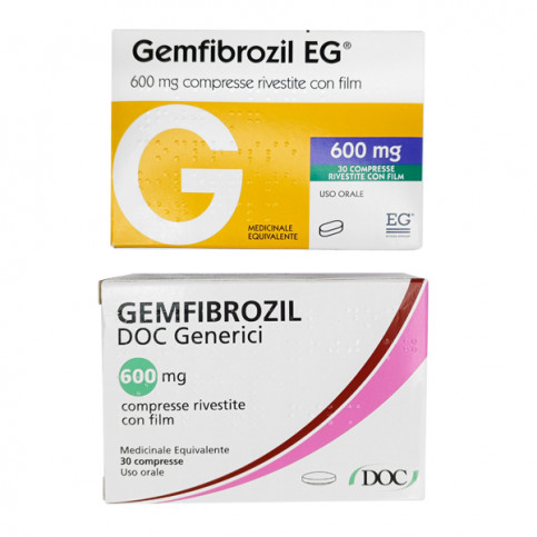 Купить Гемфиброзил 600мг №30 в Москве в Москве