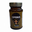Фото препарата Копринус 50% экстракт Германия 400мг таблетки №90