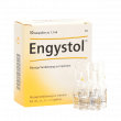 Фото препарата Энгистол ампулы №10 (10 шт/уп)